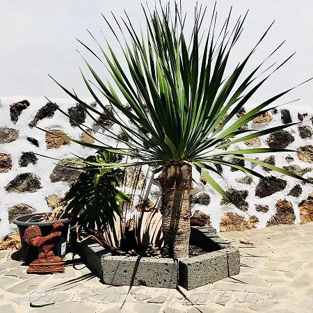 Casa Isabella In A Quiet Area Of Macher, Lanzarote Holiday home *